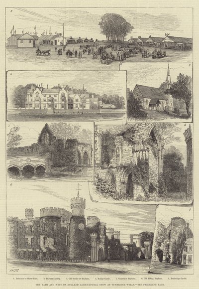 La mostra agricola del Bath and West of England a Tunbridge Wells da Walter Paget